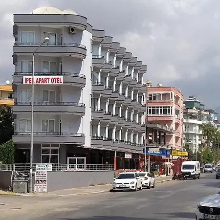 Ipek *